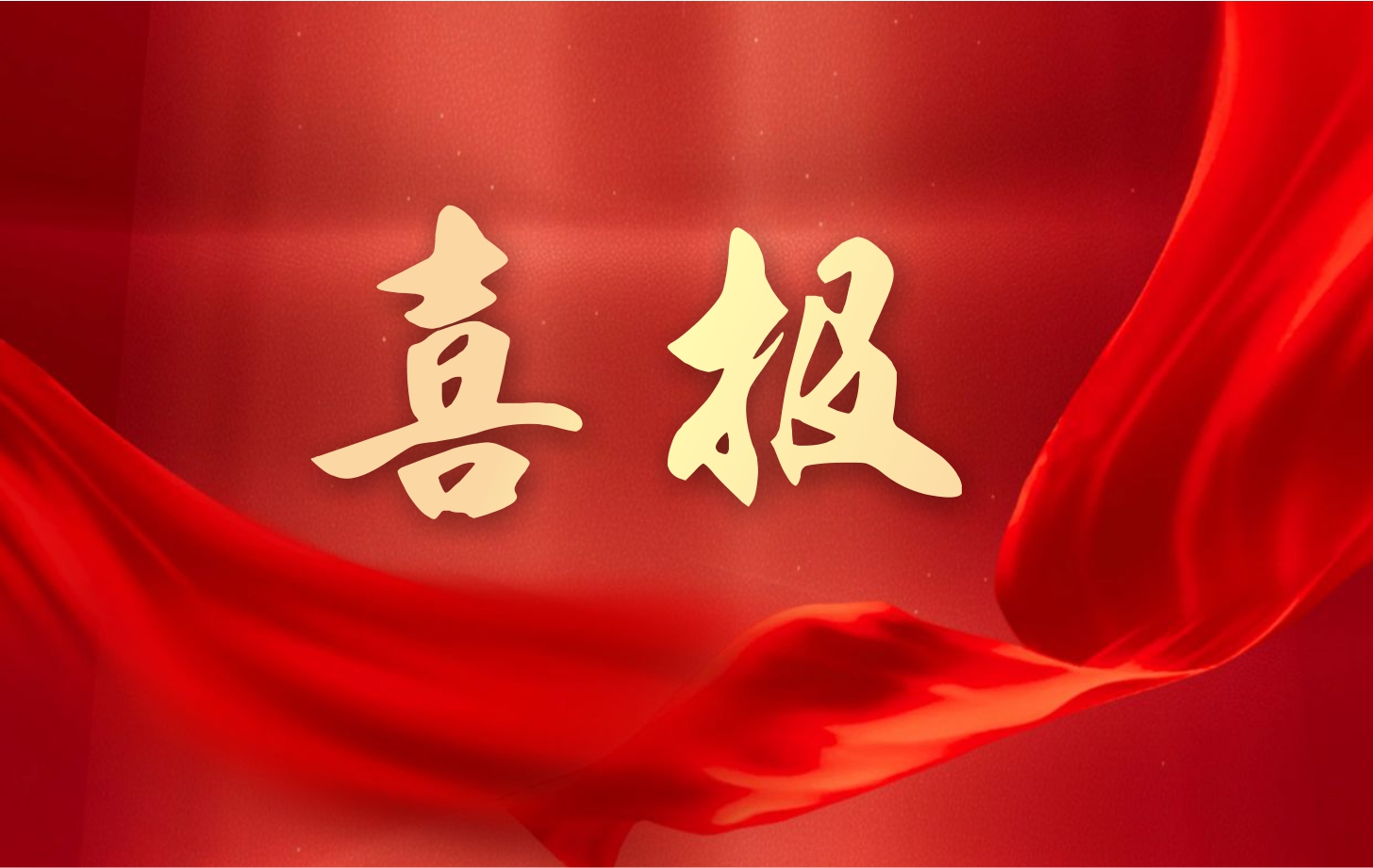 營收凈利雙增長！依頓電子2025年一季度經營業(yè)績續(xù)寫高質量發(fā)展華章